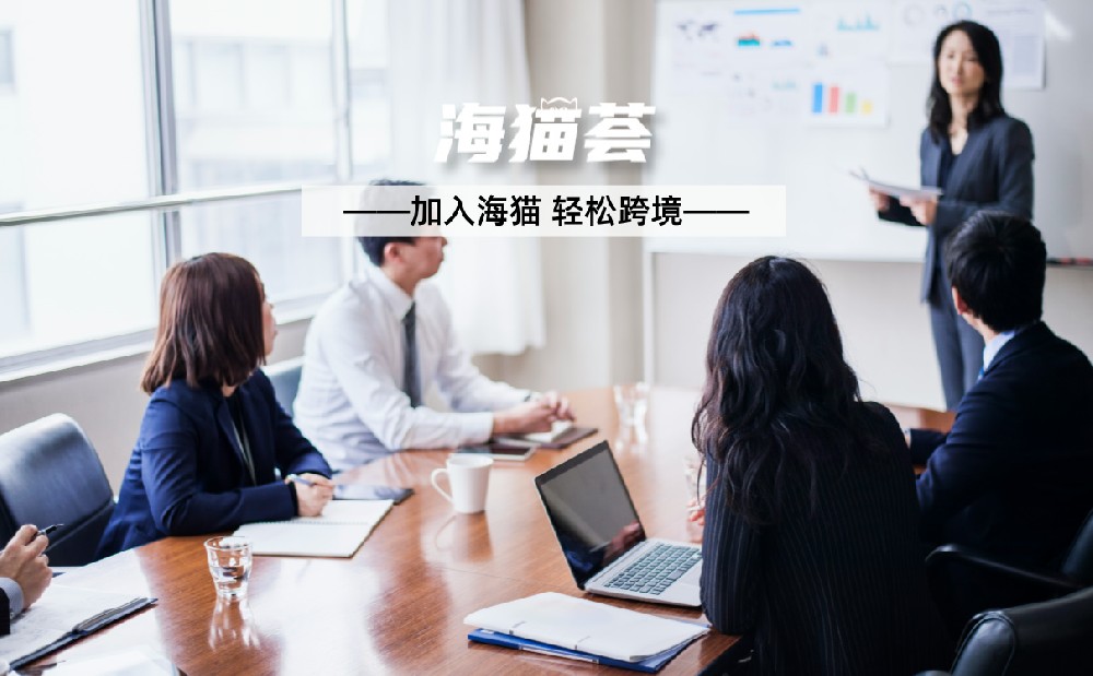 亚马逊spn服务商是什么意思，作用是什么