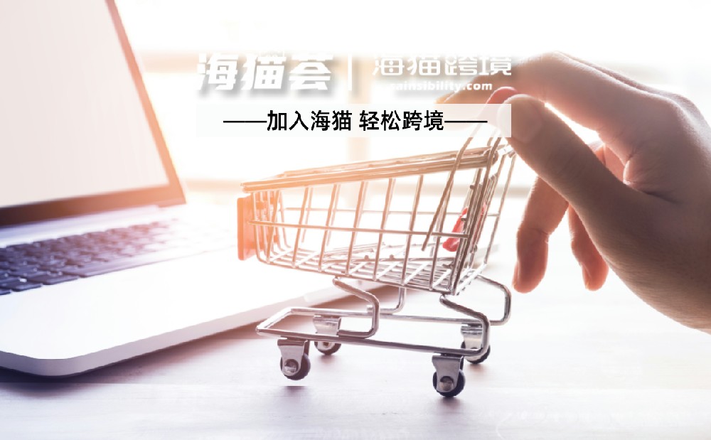 亚马逊KYC审核与亚马逊二审有什么区别？