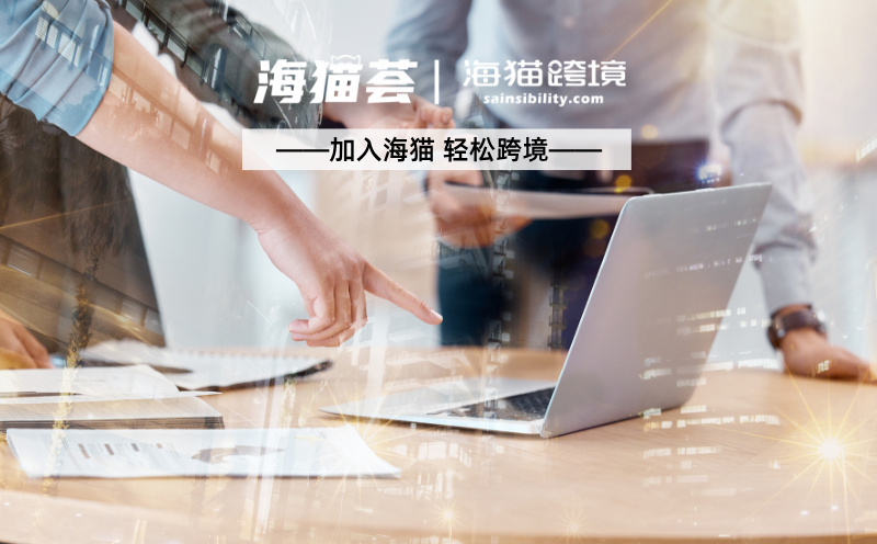 亚马逊代运营公司 vs 自建团队：哪个更划算？